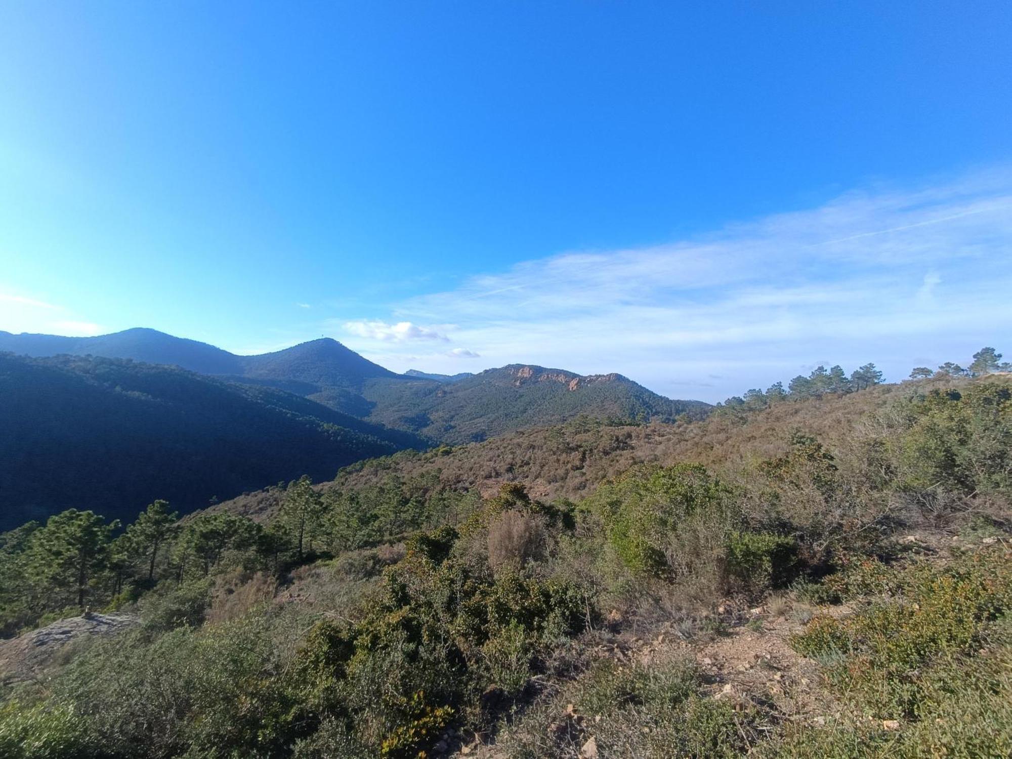 Magnifique Vue Mer Et Piscine - Les Cles De L Esterel Théoule-sur-Mer Екстериор снимка