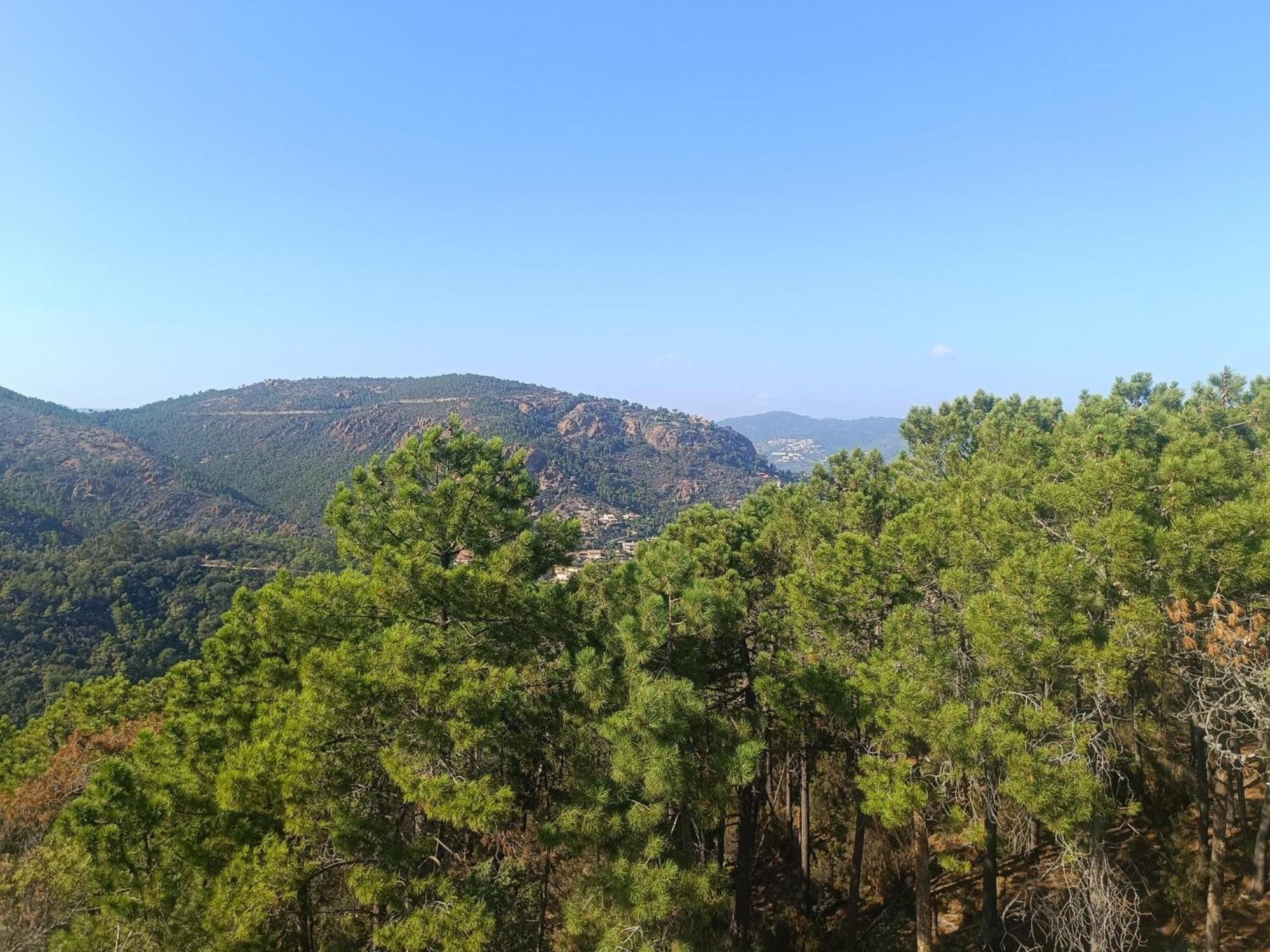 Magnifique Vue Mer Et Piscine - Les Cles De L Esterel Théoule-sur-Mer Екстериор снимка